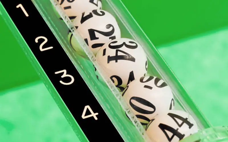 kerala lottery online app