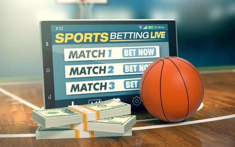 baseball bat at mykhel body image